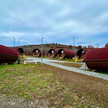 Eco Camp Lake Mladost Wełes Zewnętrze zdjęcie